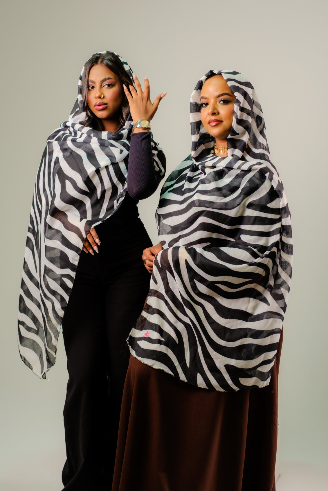 m*c様 新春オークション Tillandsia 'Mexican Zebra' m*c様 新春